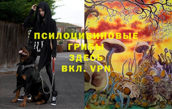 MDMA Premium VHQ Белоозёрский