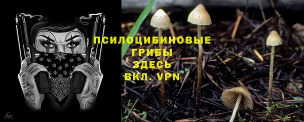 прущий лед Белокуриха