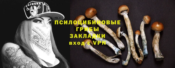 прущий лед Белокуриха